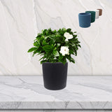 Round Plant Pot "Small" Dimensions: 8cm x 8cm (Diameter x Height)