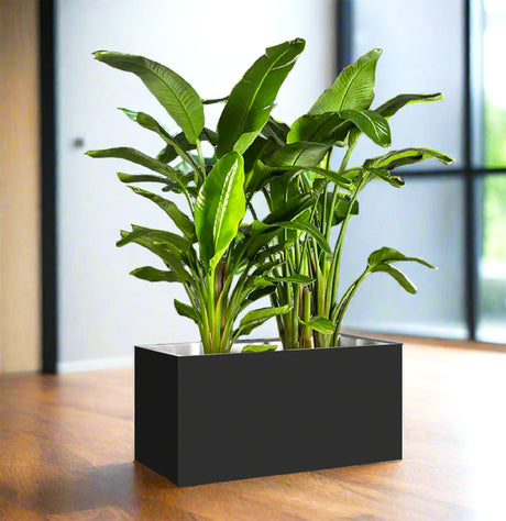 Bird of Paradise Pair in Fiber Glass Pot (GRP) (90-30-60cm)