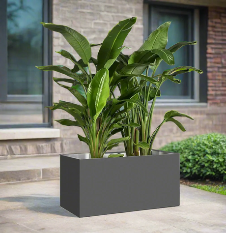 Bird of Paradise Pair in Fiber Glass Pot (GRP) (90-30-60cm)