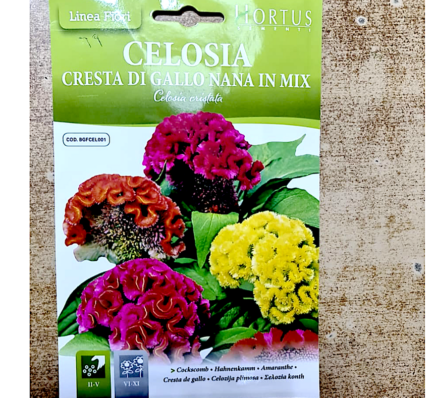 Celosia Flower Seeds "Cresta Di Gallo Nana Mix" by Hortus