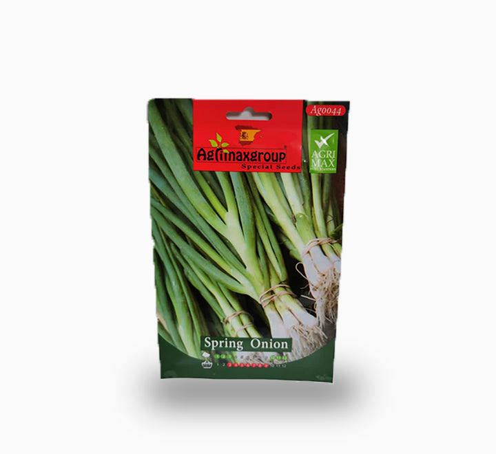 Spring Onion